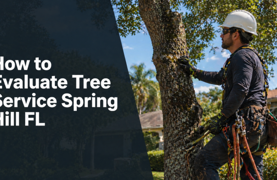 How to evaluate tree service in Spring Hill